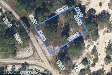 Property Photo: 487 Devotion Drive FL 33852