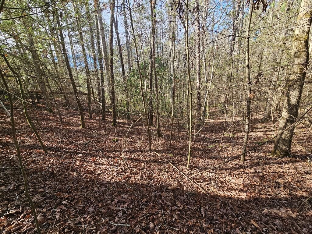 Property Photo:  Lot 77 Roaring Forks Lane  GA 30540 