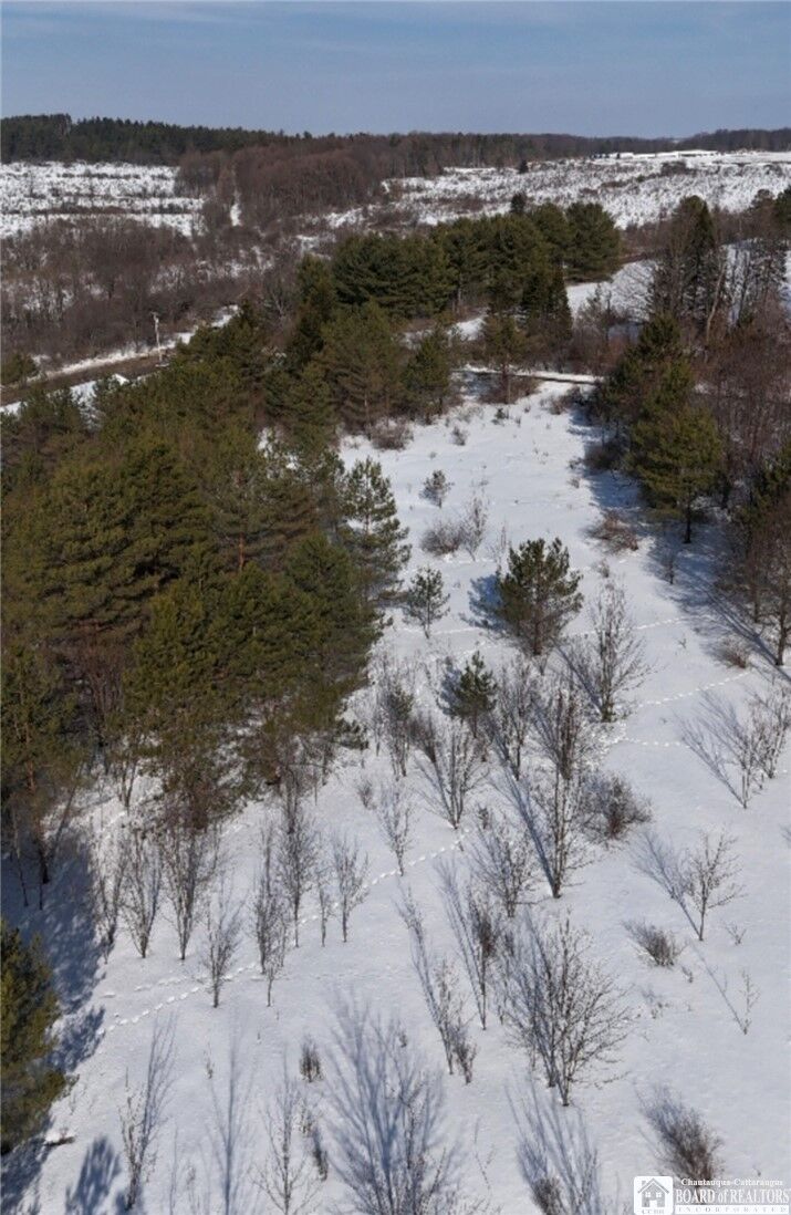 Property Photo: Reynolds Road NY 14737