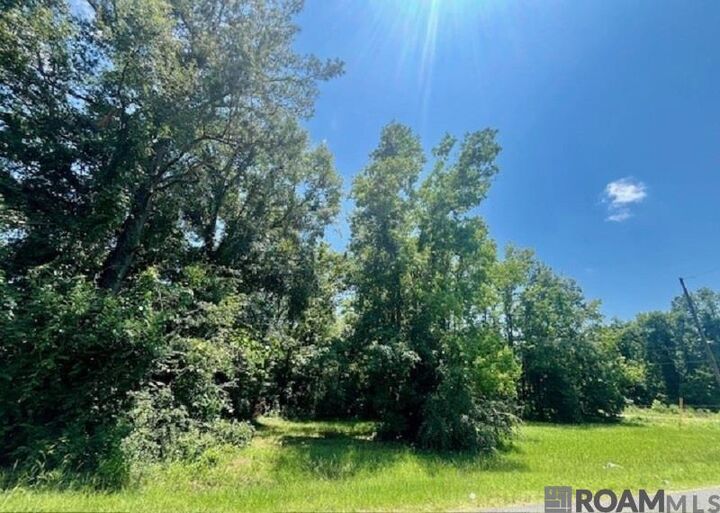 Property Photo:  Lot 50 Hillcrest Dr  LA 70791 