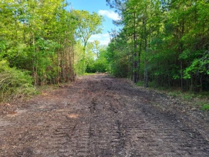 Property Photo:  550 Robert Jones Road  TX 75949 