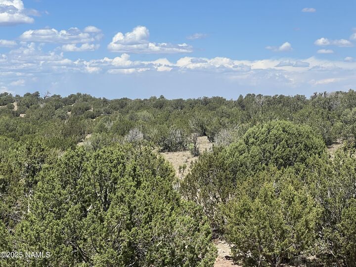 Property Photo:  3472 Whitetail Loop  AZ 86046 