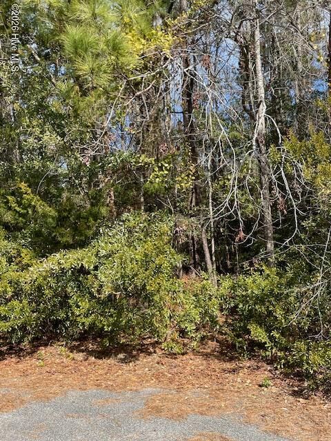 Property Photo:  38 Lot 38 Cedar Find Cove  NC 28411 