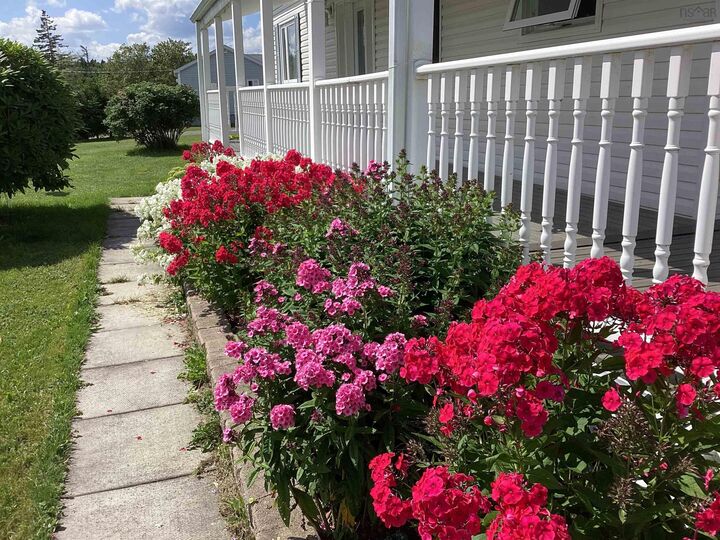 Property Photo: 24585 Highway 7 NS B0J 2R0