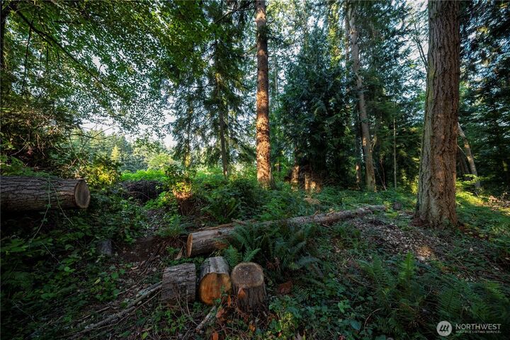 Property Photo: 0 Ships Havens Drive WA 98249