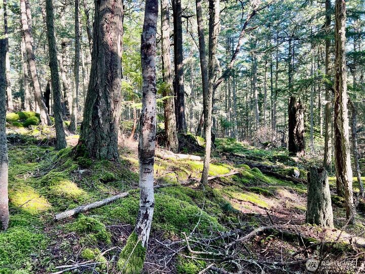 Property Photo: 0 Highland Drive WA 98221