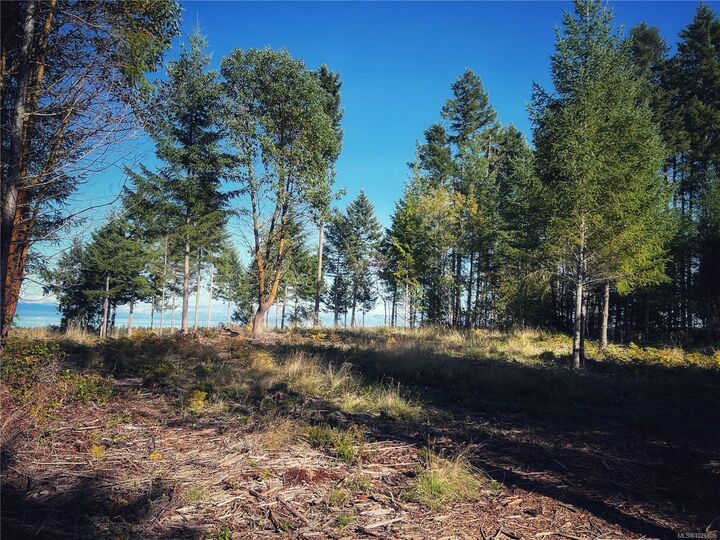 Property Photo:  Lt 5 Spruce Ave  BC V0R 1X2 