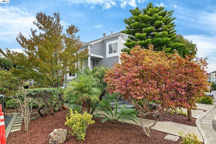 Property Photo:  137 Parfait Ln  CA 94502 