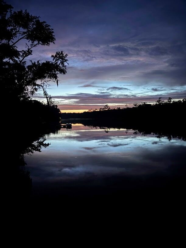 Property Photo:  90 Manning Lane  GA 31537 