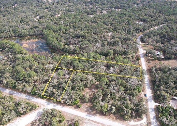 Property Photo: Lewis Lane FL 33597