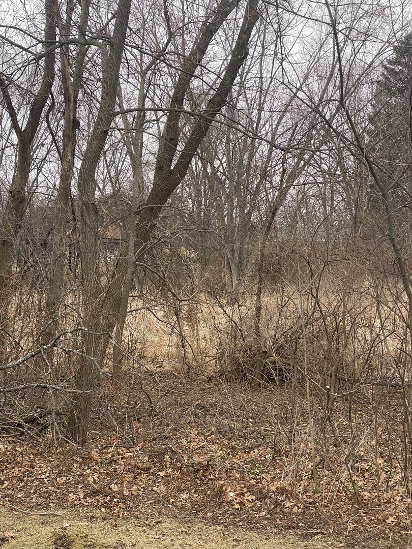 Property Photo: 21177 N Valley Road IL 60047