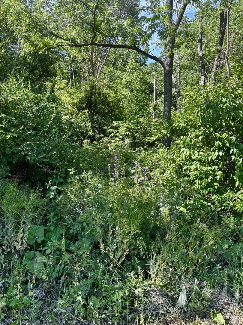 Property Photo:  21177 N Valley Road  IL 60047 