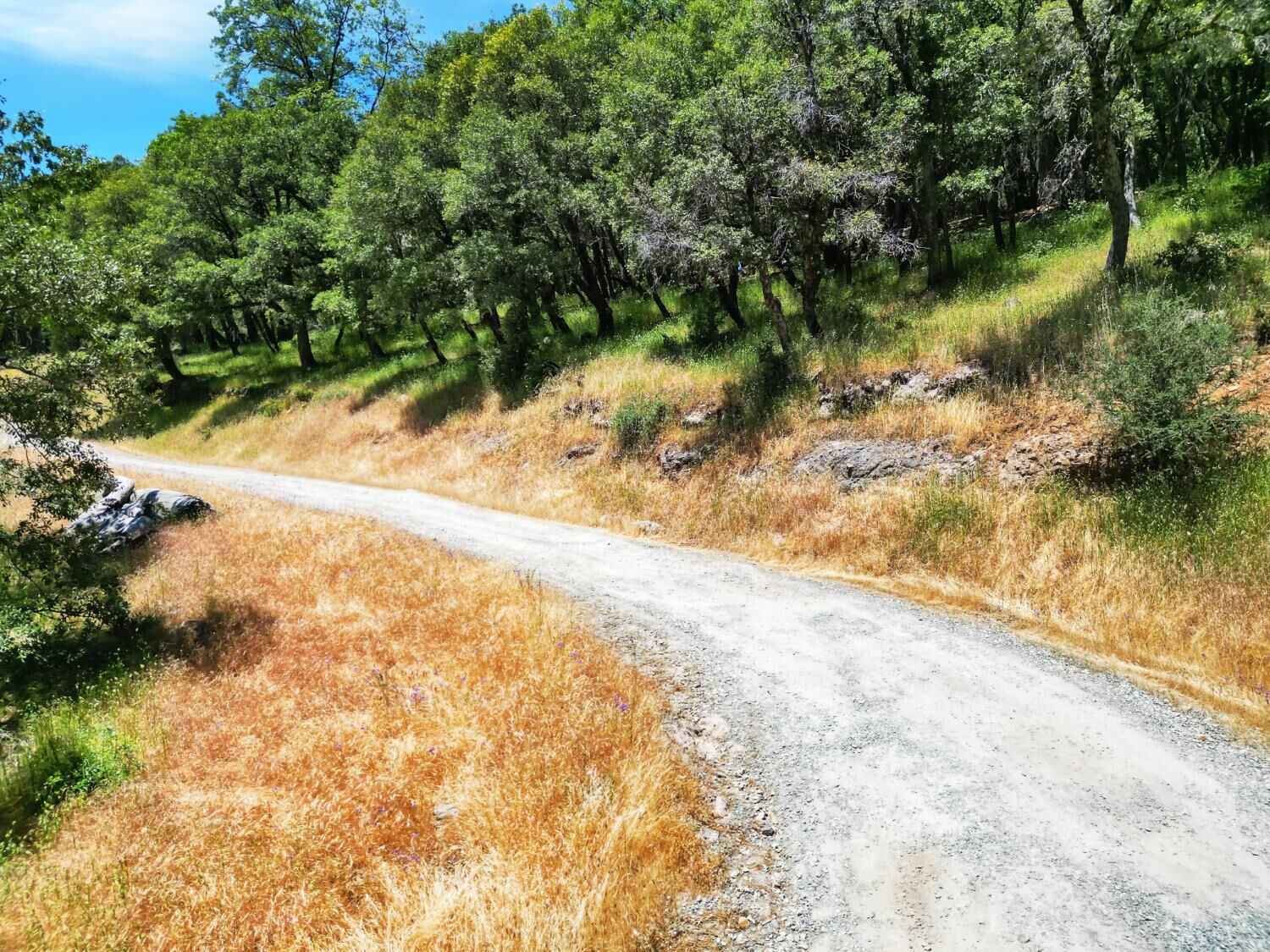 Property Photo: 10441 Rim Rock Lane CA 95959