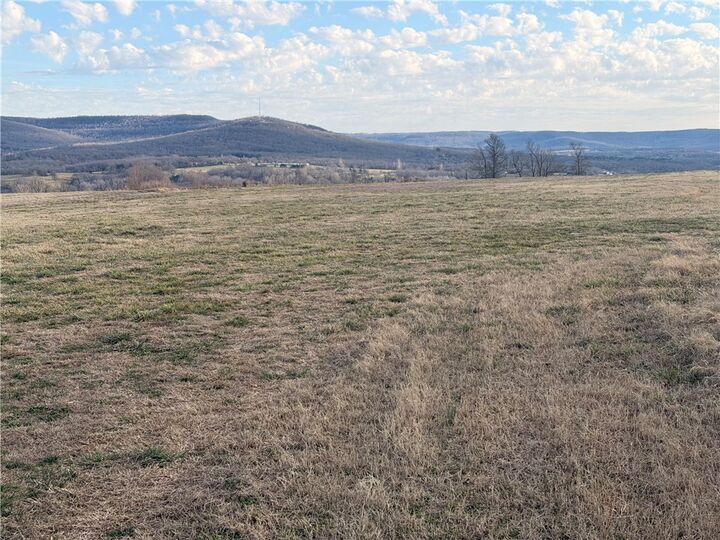 Property Photo:  Tbd Cr 912 Tract 1 County Road 912  AR 72611 