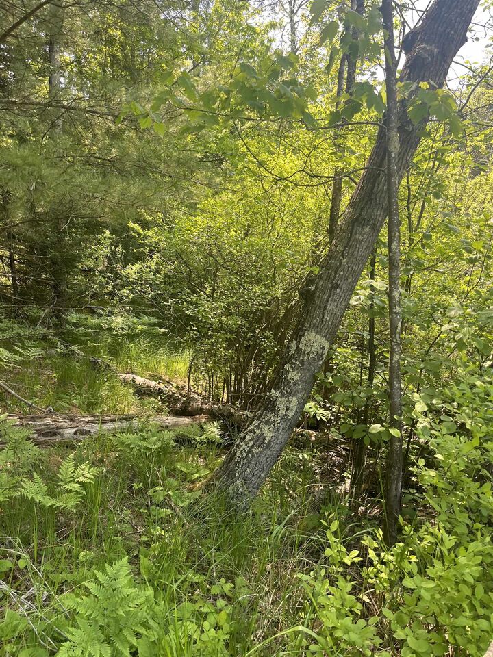 Property Photo:  Lake John Road  WI 54138 