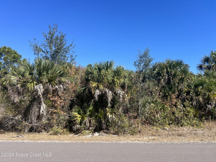 Property Photo:  541 La Goy Street SW  FL 32908 