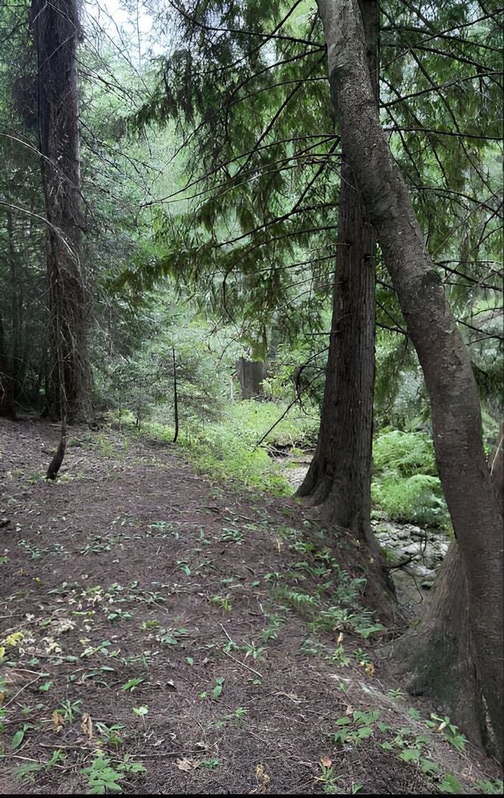 Property Photo:  34xxx N Blanchard Creek Rd  WA 99156 