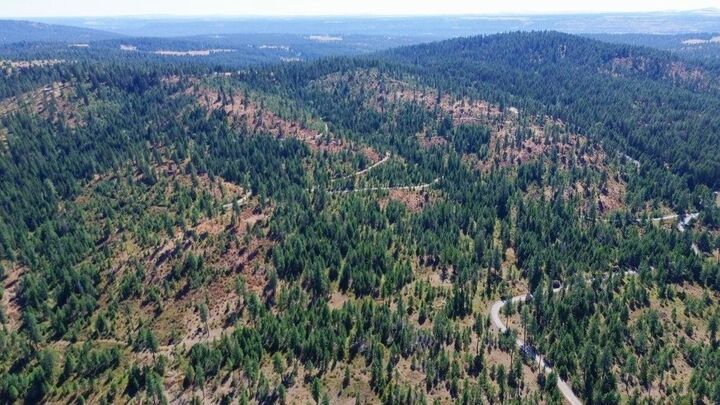 Property Photo:  52xx Lot 5 S Swenson Rd  WA 99006 