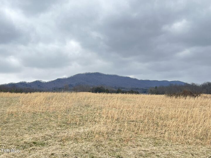 Property Photo:  Tbd Brake Tree Lane  TN 37745 