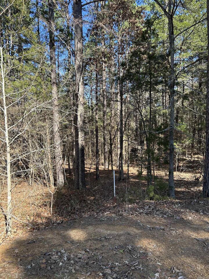 Property Photo:  3306 Black Hill Road  AR 72013 
