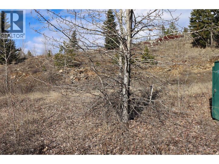 Property Photo:  2633 Squilax Anglemont Road 151  BC V0E 1M4 