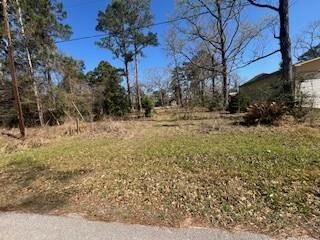 Property Photo:  Tbd Apple Tree  TX 77351 