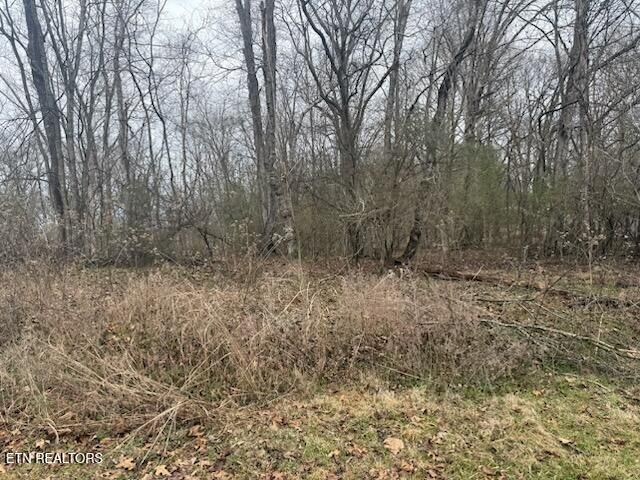 Property Photo:  110 Eblen Lane  TN 37763 