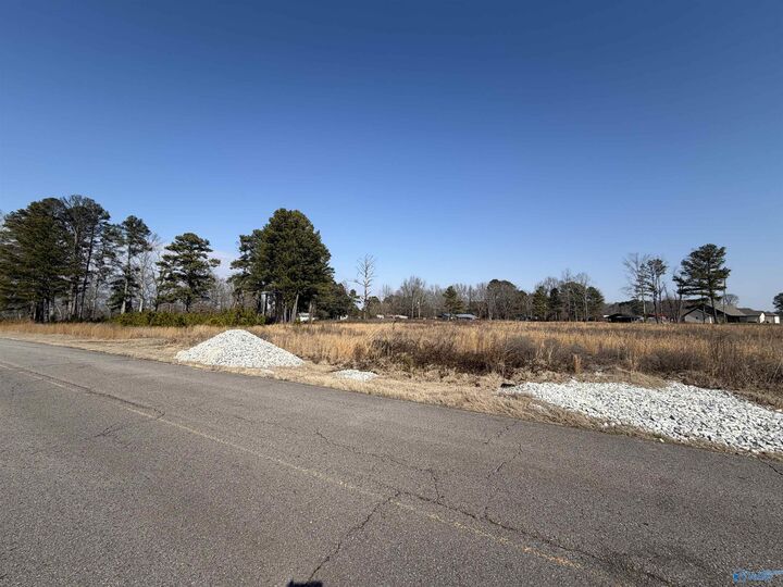 Property Photo:  20076 Edgewood Road  AL 35614 