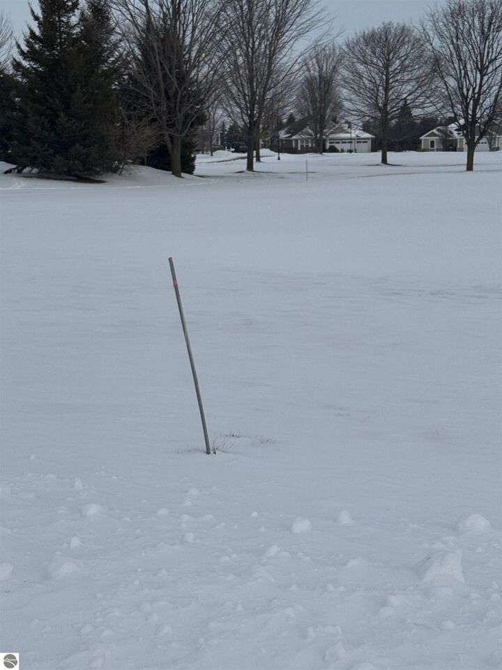 Property Photo:  4231 Wolverine Drive  MI 49690 