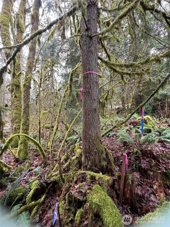 Property Photo:  15026  Iceberg Road  WA 98244 