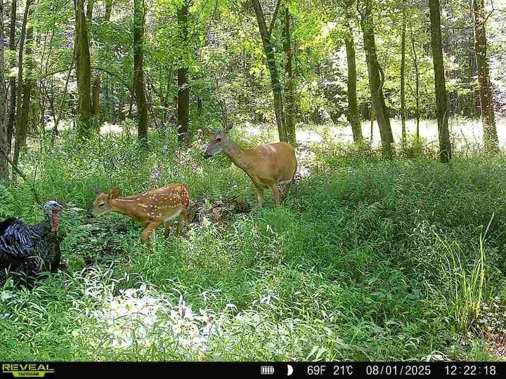 Property Photo: 0 SR 258 PA 16127