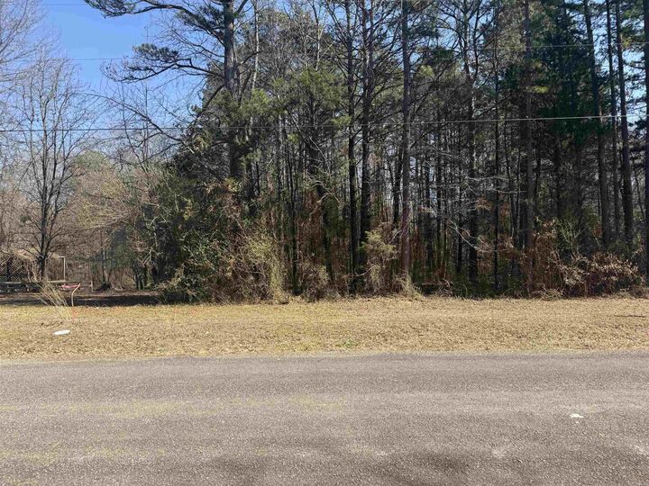 Property Photo:  487 Valley Dr.  AR 72543 
