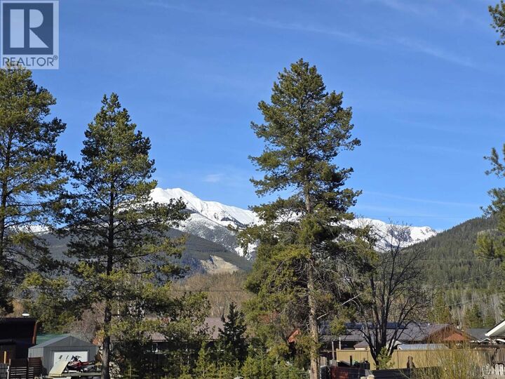 Photo de la propriété:  1260 4th Avenue  BC V0E 2Z0 