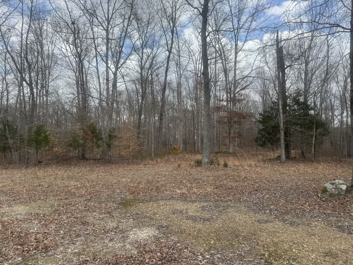 Property Photo:  323 Graham Rd  TN 37050 