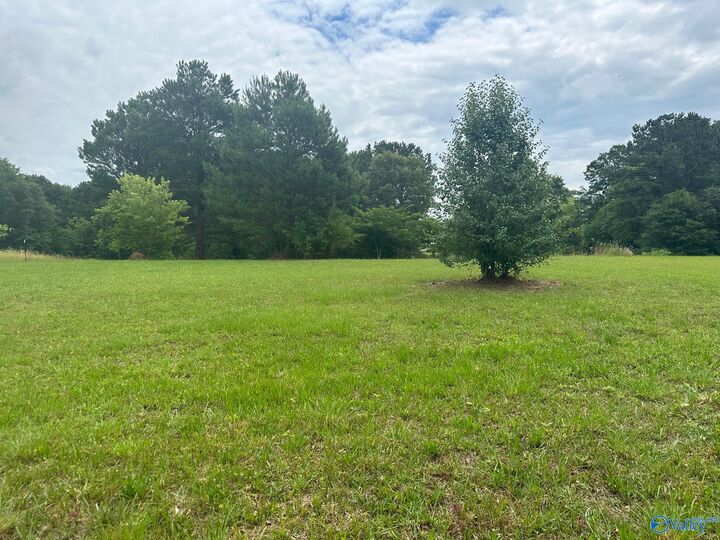 Property Photo:  836 County Road 359  AL 35983 