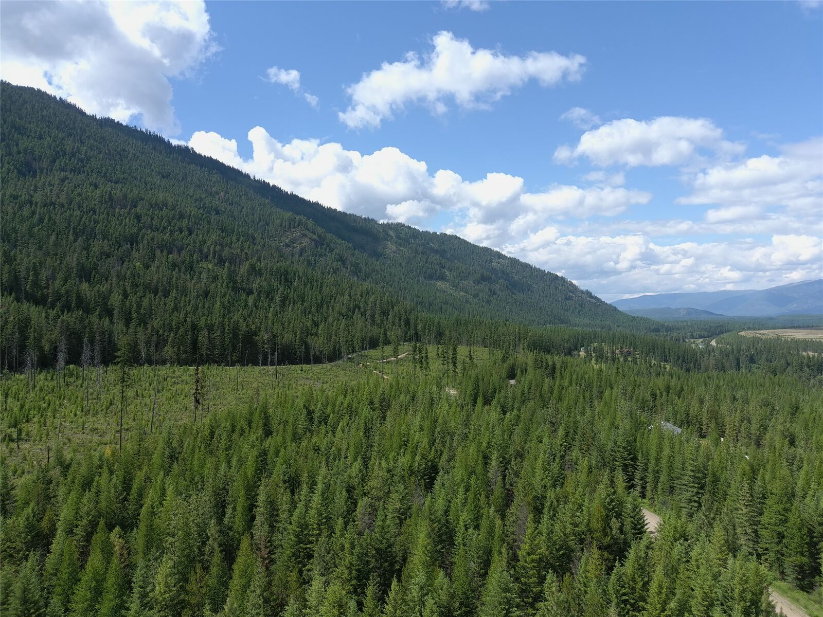Property Photo: L1 Lower Stanley Cutoff Road MT 59935