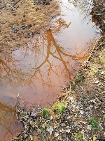 Property Photo:  20039 County Road 450  TX 75771 