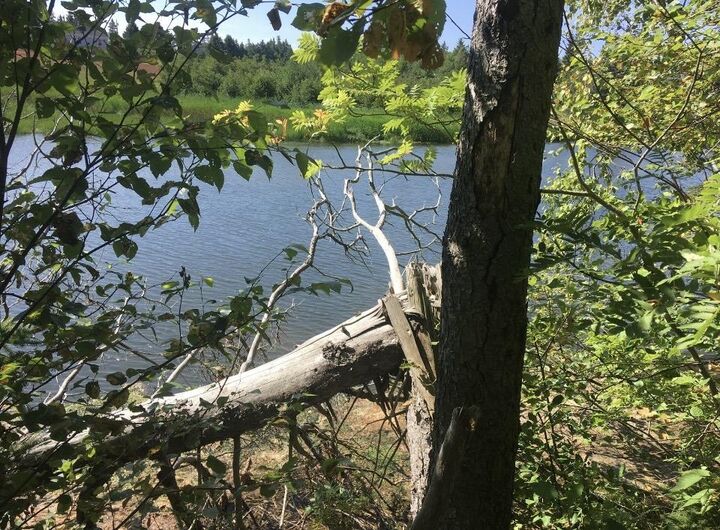 Property Photo:  Lot Stead Road - 7.8 Waterfront  PE C0A 1N0 