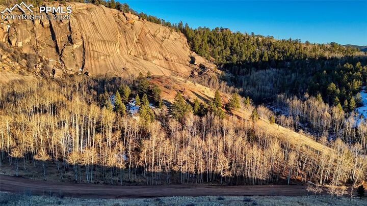 Property Photo:  524 Buckhorn Road  CO 80813 