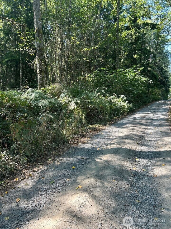 Property Photo:  0 Xxx  Forest View Lane  WA 98253 