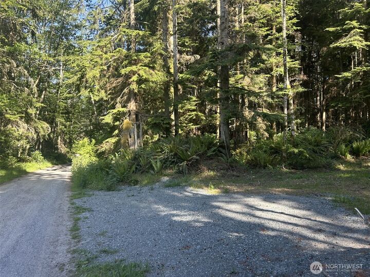 Property Photo: 0 Xxx Forest View Lane WA 98253