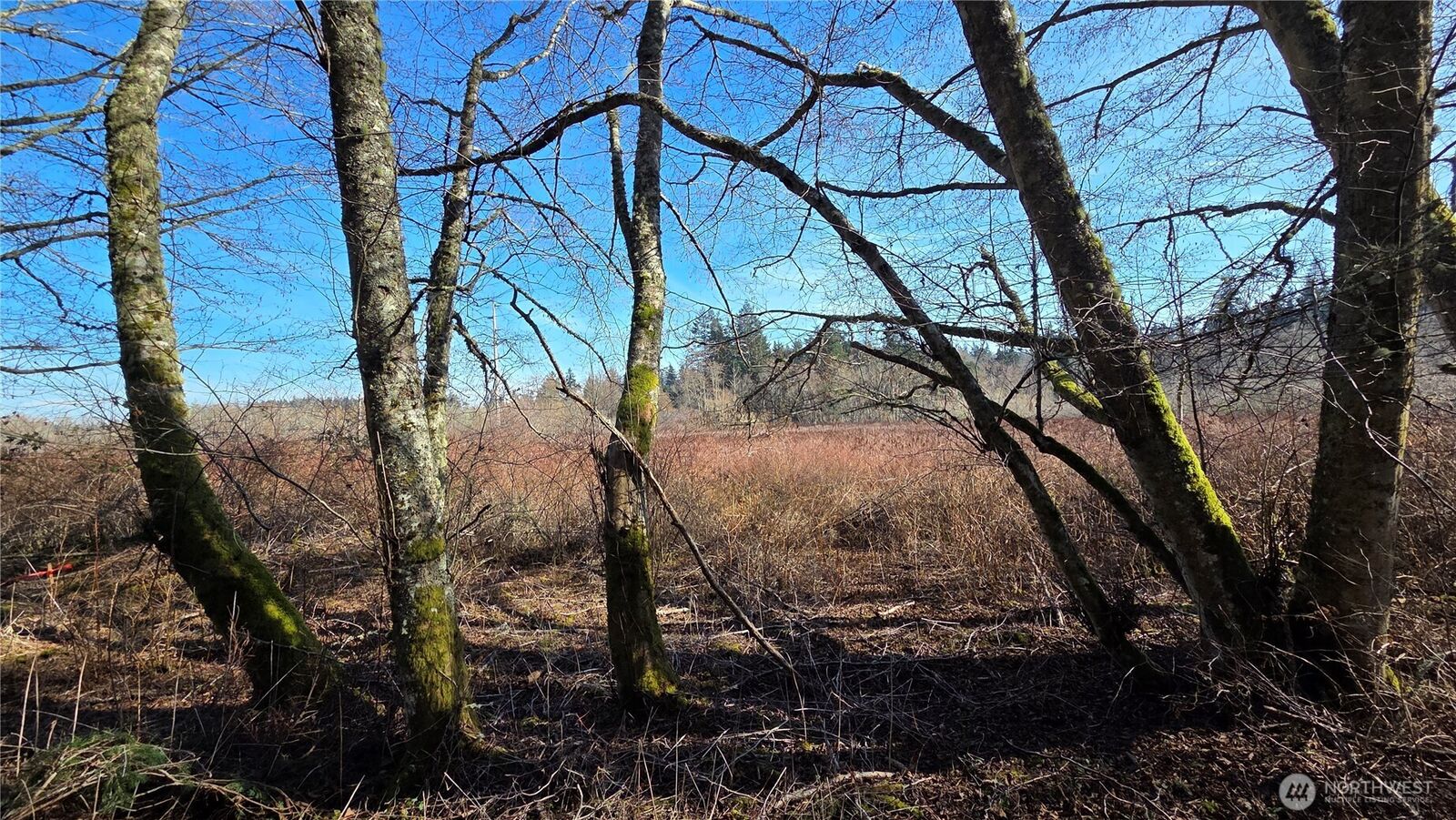 Property Photo: 5707 Woodard Avenue WA 98249