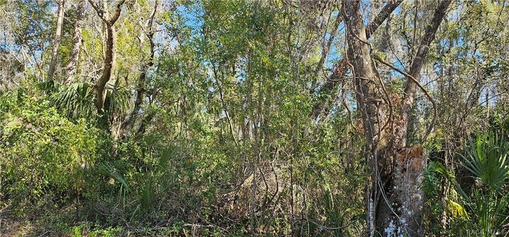 Property Photo:  939 N Sonia Avenue  FL 34453 