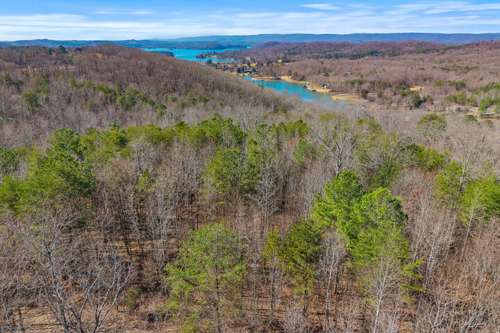 Property Photo:  0 Ware Farms Road  TN 37381 