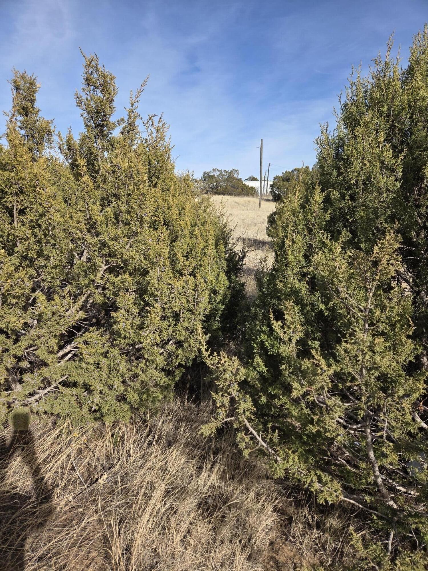 Property Photo: 10 Glacier Trail NM 87015