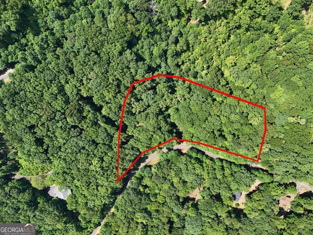 Property Photo: Lot 71 Chicory Drive W GA 30512