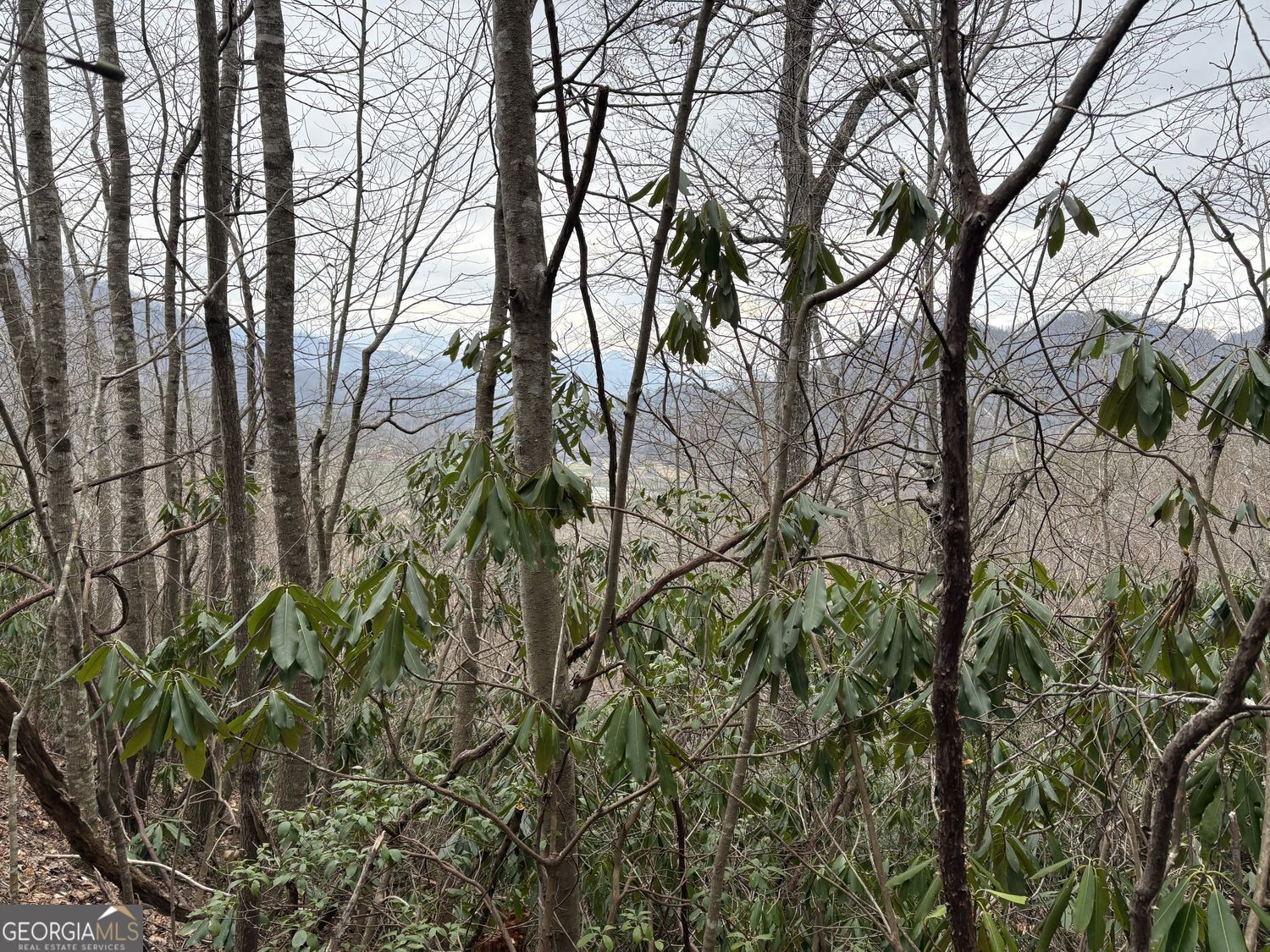 Property Photo:  0 Colchester Lane  GA 30525 