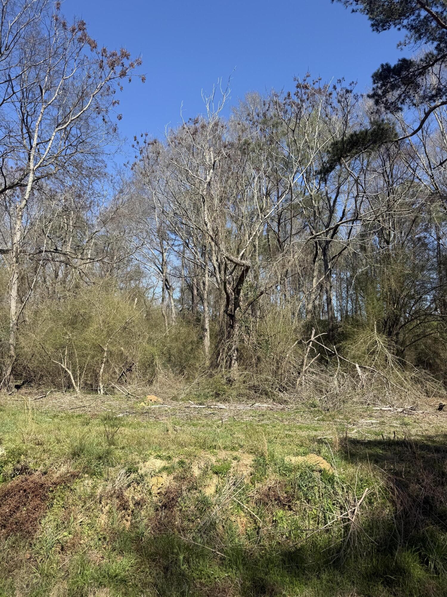 Property Photo:  4.9 Acr Morgantown Rd.  MS 39483 