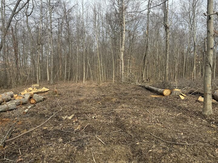 Property Photo:  000 Dug Hill Road Tract 13  KY 40409 