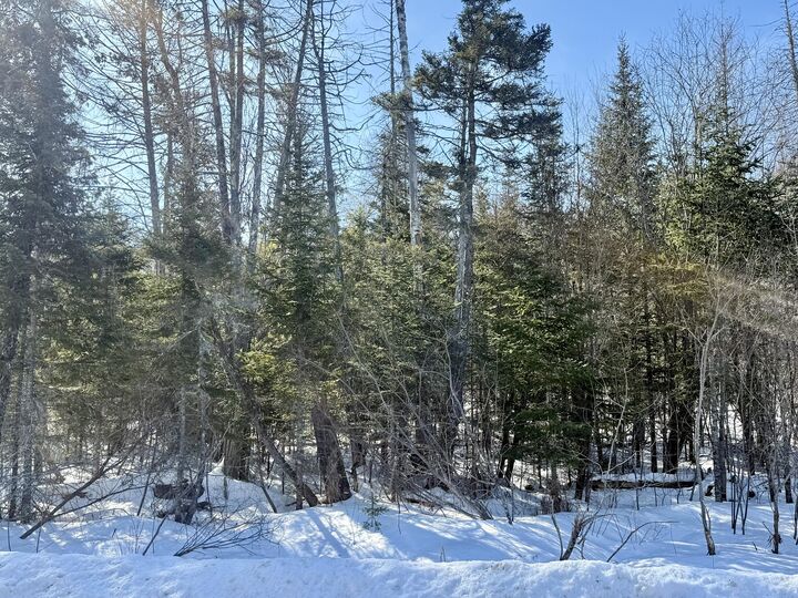 Property Photo:  8 Bowling Green Lane  ME 04915 